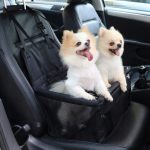 d07971883174e9e4a934f6b0e63ccbec